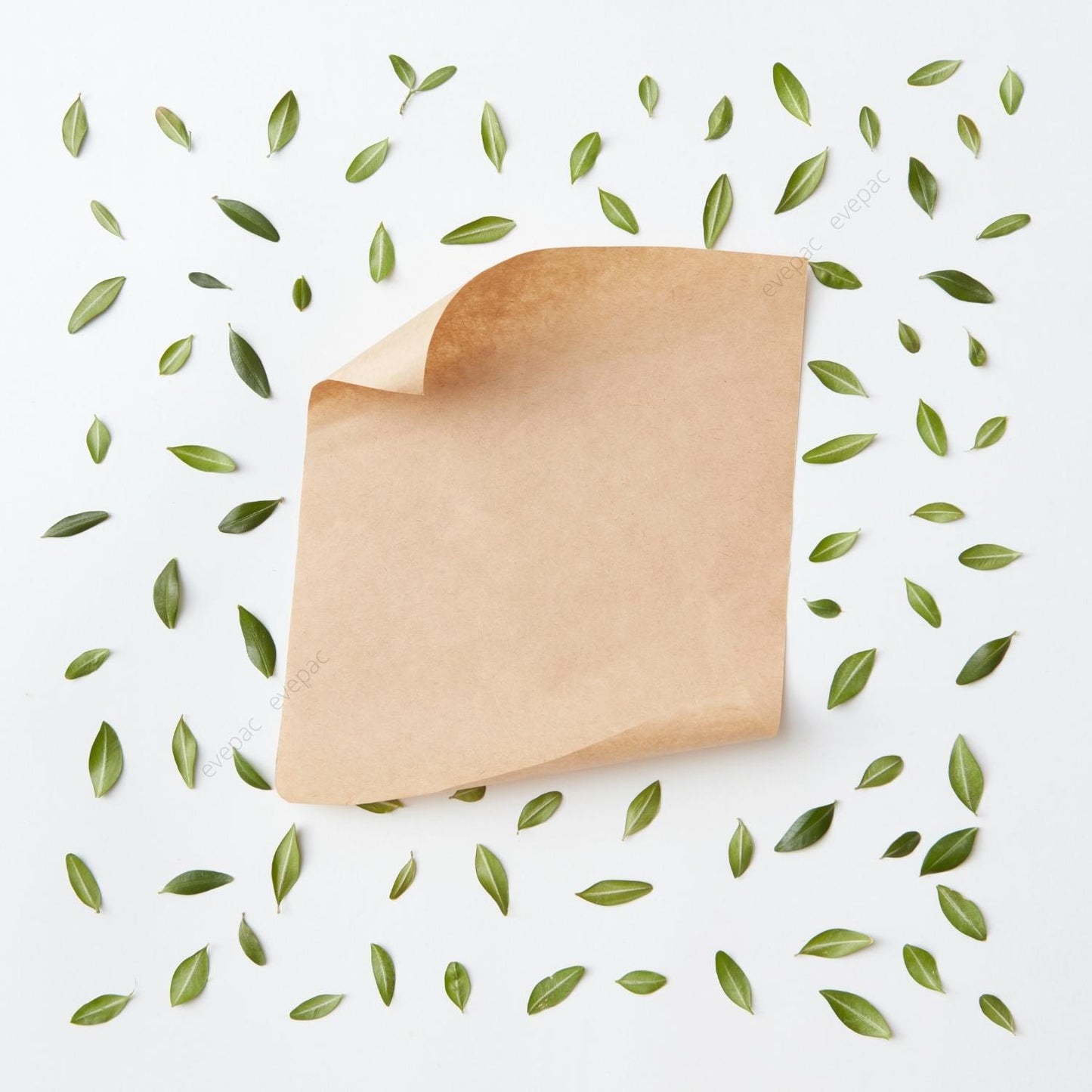 papier kraft personnalise